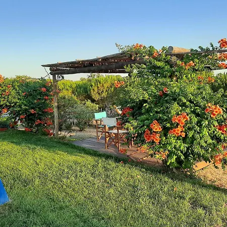 Monte Alentejano - Melides Villa Exterior photo