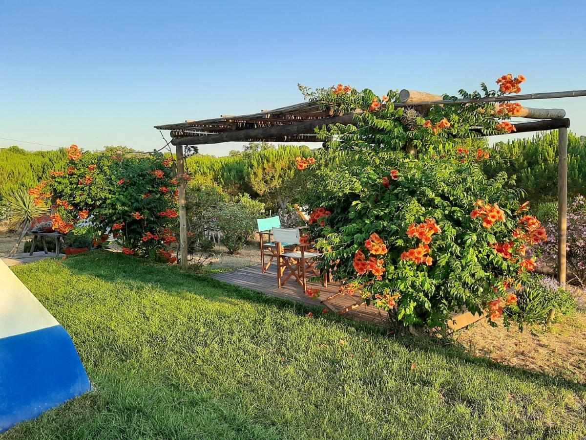 Holiday home Monte Alentejano - Melides