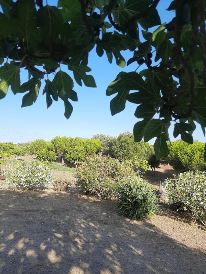 Holiday home Monte Alentejano - *