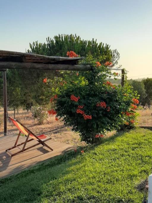 Holiday home Monte Alentejano - Melides