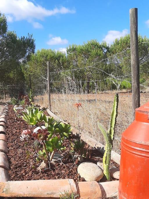 Holiday home Monte Alentejano - Melides