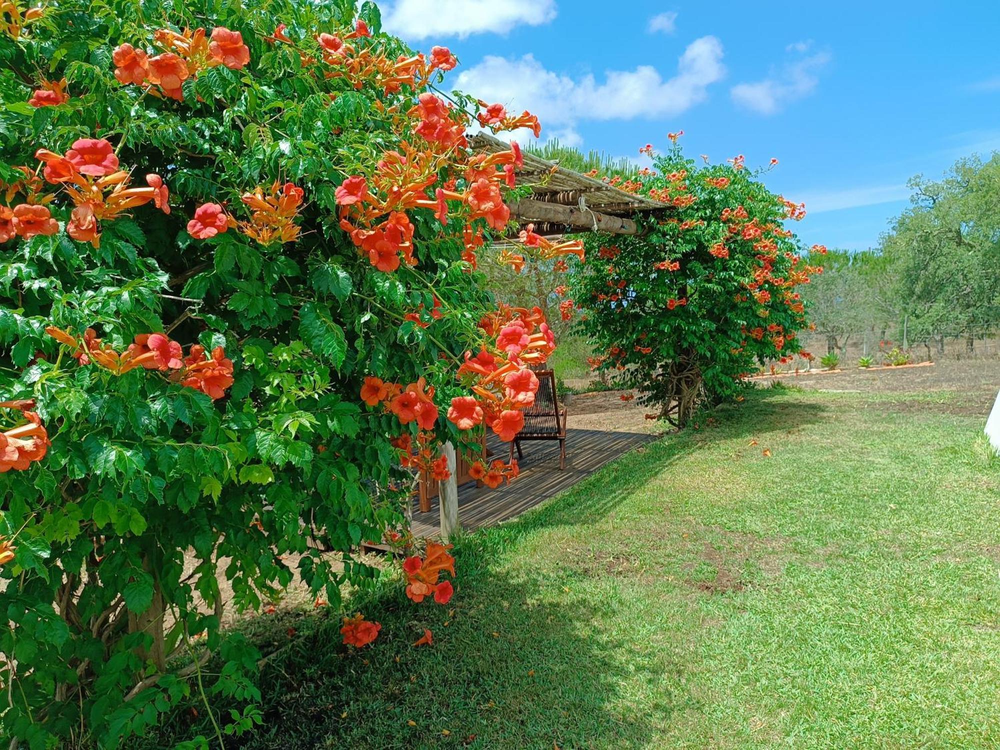 Monte Alentejano - Holiday home Melides